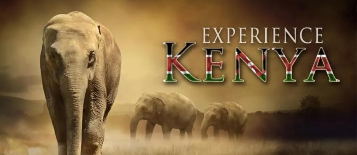 Africa Experience.jpg
